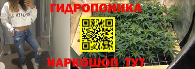 ПСИЛОЦИБИНОВЫЕ ГРИБЫ Тулун
