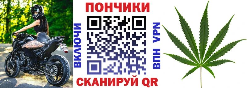 Бошки Шишки план  Тихорецк 